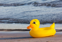 Duck Rubber Ring, Duck Swim-ring On The Beach