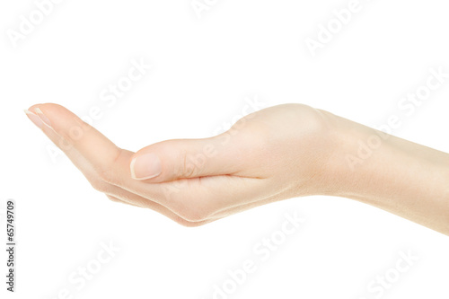Fotografie, Obraz Woman hand open, palm up isolated on white, clipping path