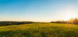 Panorama of green meadow at sunset
