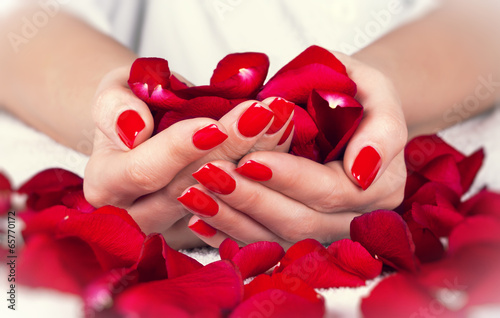 Red manicure on a woman hands with leafs of roses. Poster