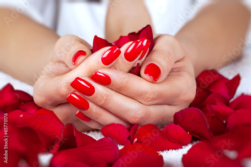 Manucure rouge sur les mains d'une femme avec des feuilles de roses Poster