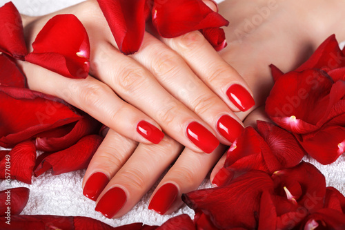 Nowoczesny obraz na płótnie Red manicure on a woman hands with leafs of roses.