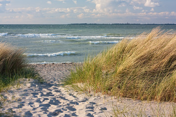 Wall Mural - Dünenlandschaft am Strand der Ostsee bei Heiligenhafen