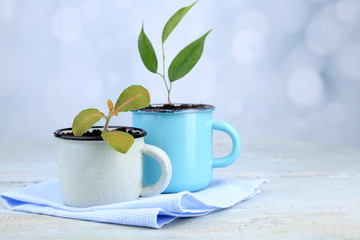 Sticker - Young plant in mugs on color wooden table, on bright background