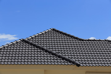 Canvas Print - black tiles roof on a new house