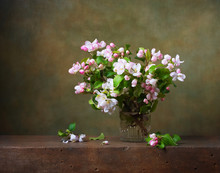 Still Life With Apple Blossom Branches