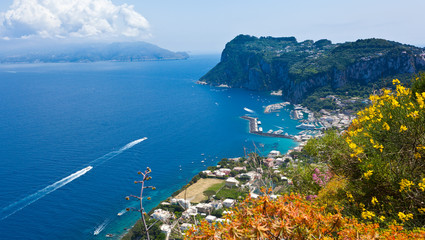 Wall Mural - Marina Grande, Capri island, Italy