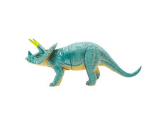 Isolated Photo Of Triceratops Dinosaur Plastic Toy On White Background.