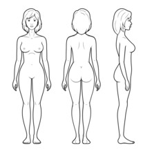 Illustration Of Female Figure