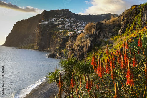 wyspa-madera-patrzac-w-kierunku-camara-de-lobos