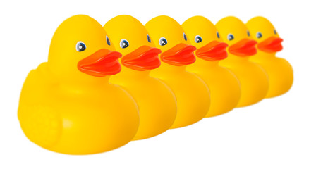 Wall Mural - Toy rubber duck isolated on white