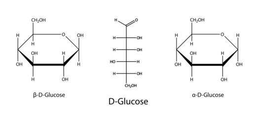 Poster - Structural chemical formulas of glucose (D-glucose)