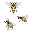 Bees icons set