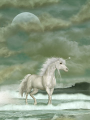 Canvas Print - unicorn