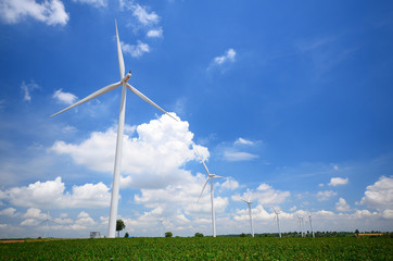 Wind Turbines in Green Fields