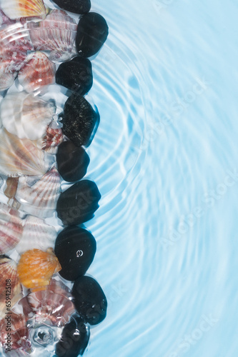 Fototapeta na wymiar Line of sea shells and stones in the water