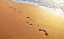 Beach, Wave And Footprints