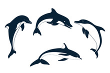 Set Of Silhouettes Of   Dolphin