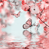 Pink flower of an Oriental cherry in and butterfly