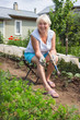 © sever180 - Elderly woman removes the weeds in the garden