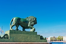 Saint-Petersburg, The Figure Of A Watchdog Lion At The Admiralty
