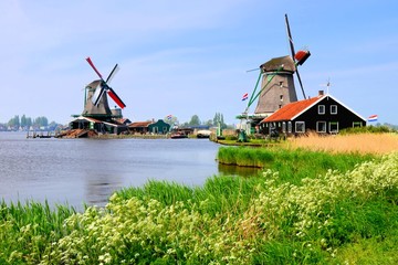 Wall Mural - Windmills along a canal at Zaanse Schans, Netherlands