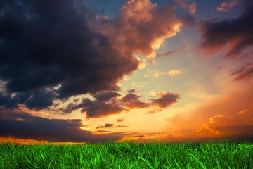 Aufkleber - Green grass under dark blue and orange sky