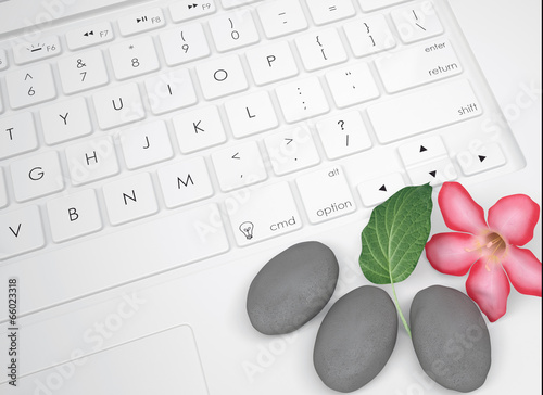 Flower Leaf And Stone For Massage On The Keyboard Buy This Stock Illustration And Explore Similar Illustrations At Adobe Stock Adobe Stock