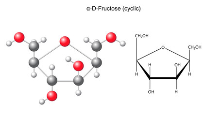 Wall Mural - Сhemical formula and model of fructose (alpha-D- fructose)