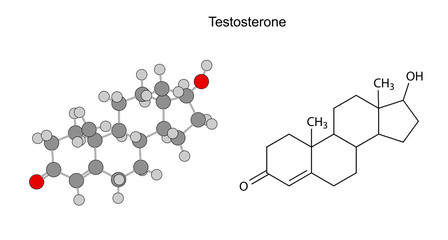 Canvas Print - Structural chemical formulas of testosterone molecule