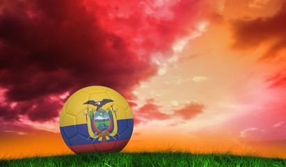 Aufkleber - Composite image of football in ecuador colours