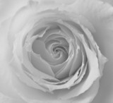 160_f_66040356_gmdrfigvtclu9uszjhjbjursjprrdubj