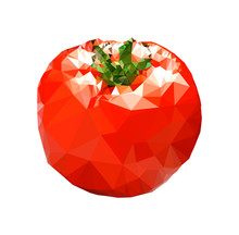 Polygonal Tomato Illustration