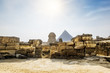 The Sphinx and the pyramid of Cheops in Giza in the background o