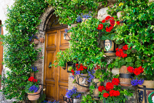 Fototapeta na wymiar Tajemnicze drewniane drzwi zakryte roślinnością