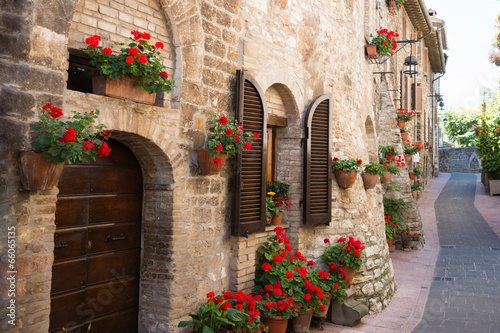 Naklejka na drzwi Vicolo con fiori, Assisi