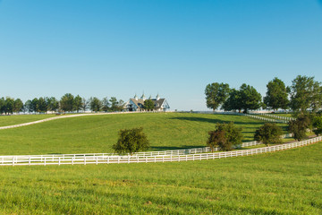 Wall Mural - Countryside
