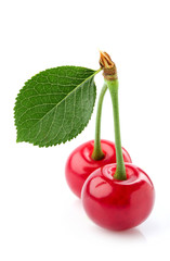 Poster - Beautiful cherry with a leaf.