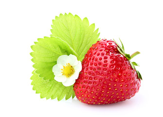 Canvas Print - Strawberry with a flower and a leaf.