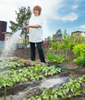 © Tatyana Gladskih - Woman watering garden beds
