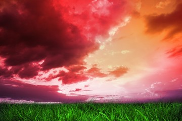 Aufkleber - Green grass under red and purple sky