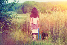 Young Woman Walking With Dog On The Wheat Field