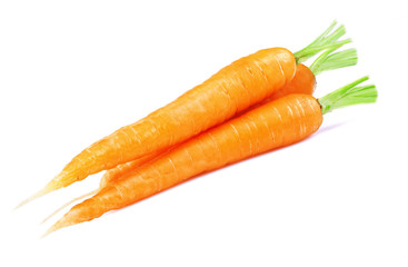 Wall Mural - Ripe carrots isolated on a white