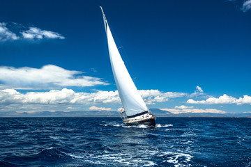 Wall Mural - Boat in sailing regatta.