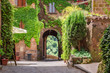 Ancient city overgrown with ivy in Tuscany