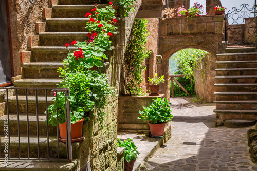 Old town full of flowery po...