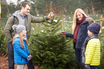 outdoor family choosing christmas tree together