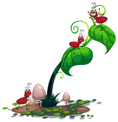 Sticker - A green plant with ants