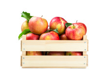 Apples In A Wooden Box