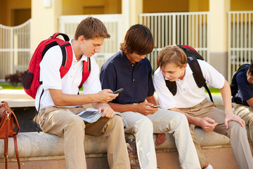 Wall Mural - male high school students using mobile phones on school campus